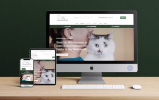 Webseiten für Praxen, Ärzte und MVZs